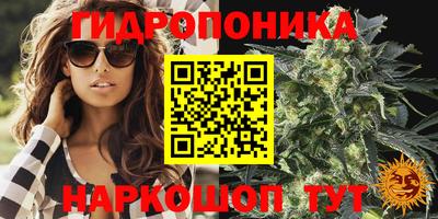 сатива Среднеуральск