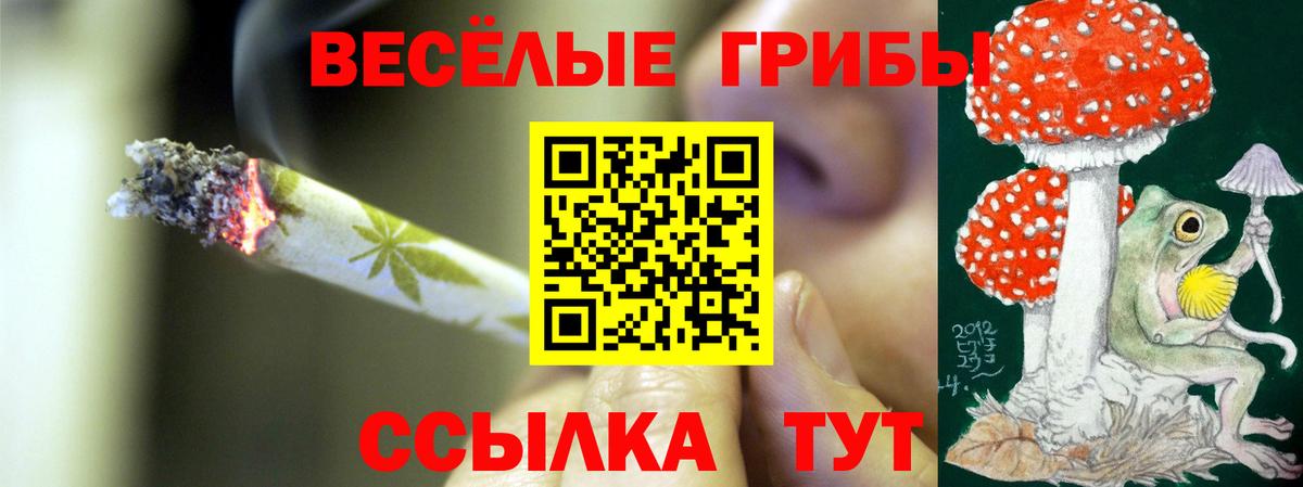 Медногорск  Галлюциногенные грибы Magic Shrooms  Вход с VPN  Галлюциногенные грибы мицелий 